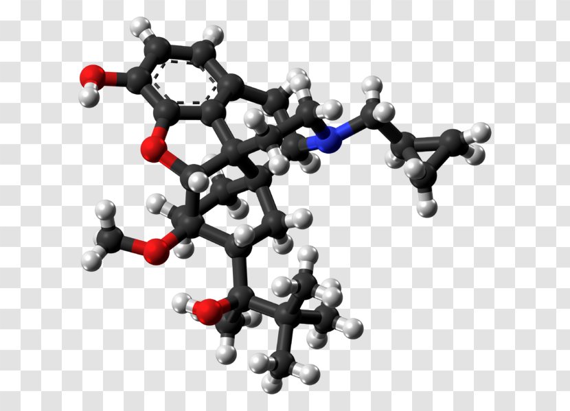 Buprenorphine Opioid Use Disorder Drug Rehabilitation Pharmaceutical - Naloxone Transparent PNG