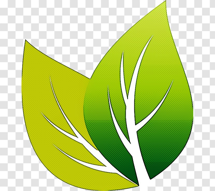 Green Leaf Logo Plant Clip Art - Symbol Transparent PNG