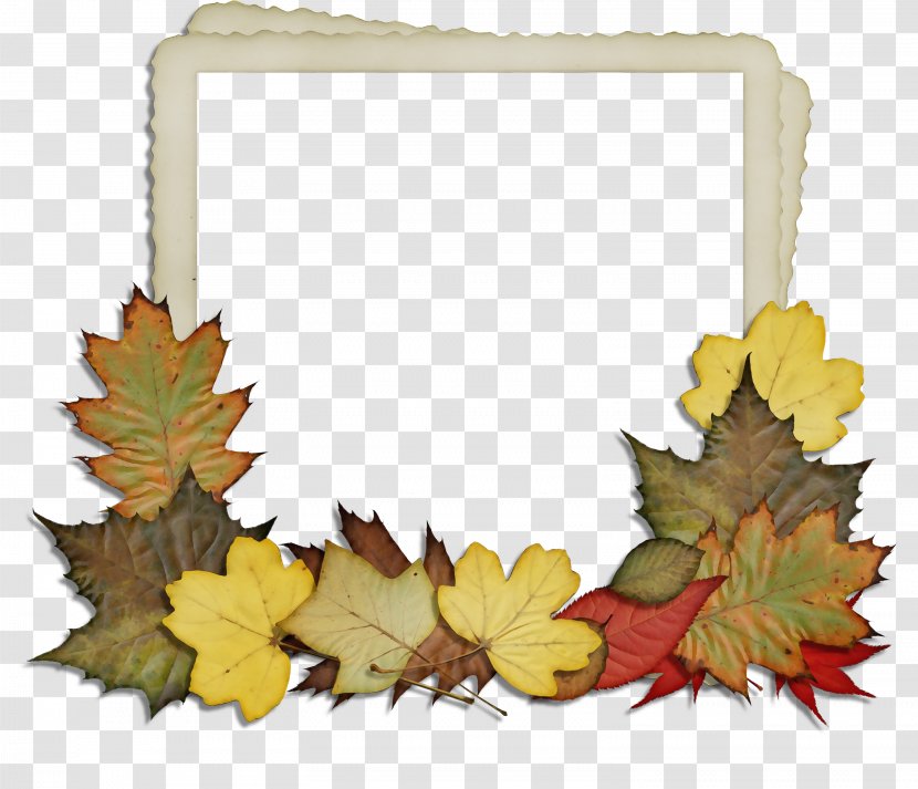 Maple Leaf Picture Frames Flower Image - Plane Transparent PNG