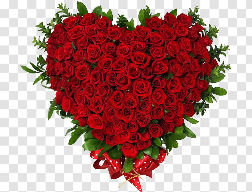 Garden Roses Beach Rose Heart Gift - Carnation - Love Transparent PNG