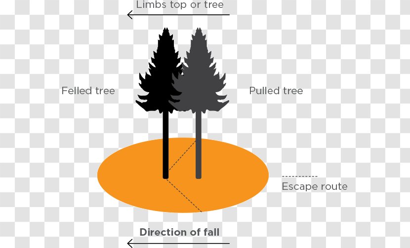 Fall Tree Felling Clip Art Image - Woody Plant Transparent PNG