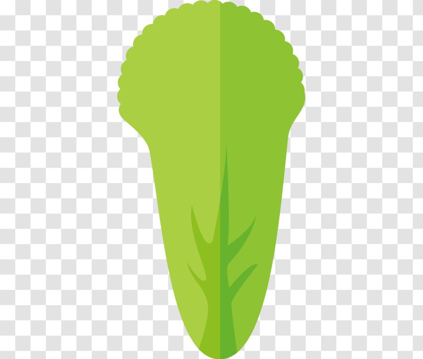 Icon - Green - Vector PPT Creative Design Cabbage Transparent PNG