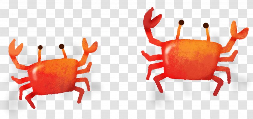 Crabe Euclidean Vector - Cartoon - Crab Transparent PNG