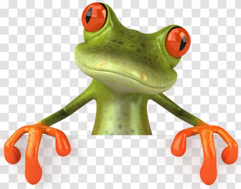 Frog Clip Art - Stock Photography - Froghd Transparent PNG