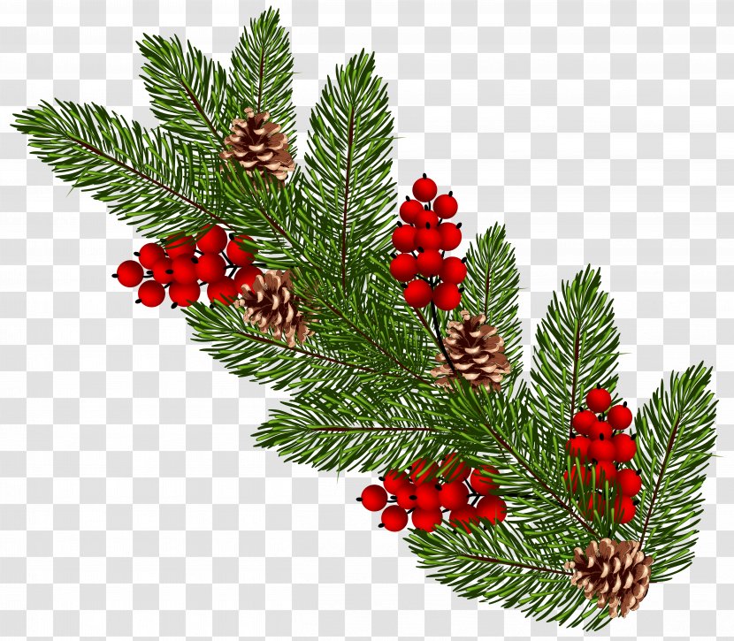 Christmas Ornament Conifer Cone Clip Art - Fir - Pine Boughs Transparent PNG