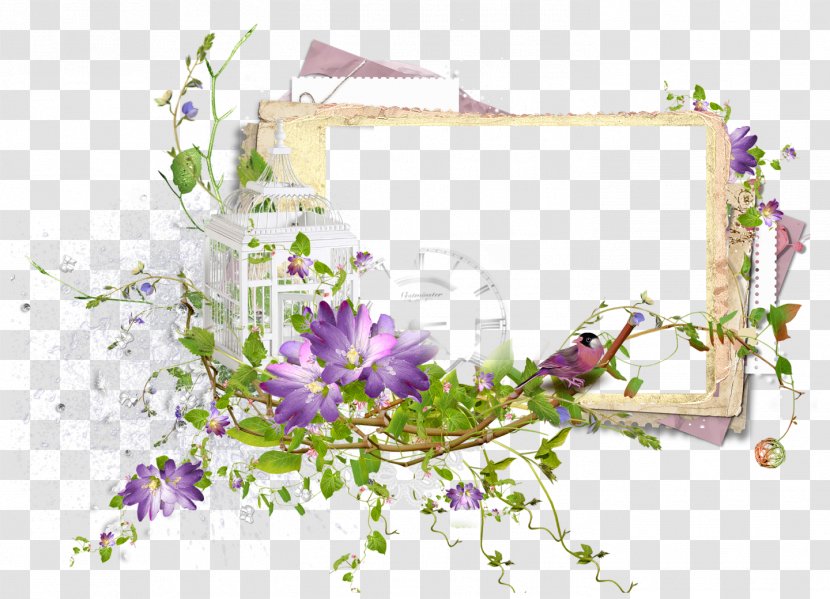 Picture Frames Drawing - Floristry - Jerrycan Transparent PNG