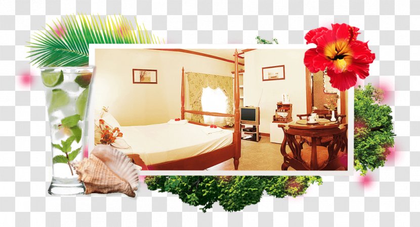 Barrio Barretto Subic Bay Palm Tree Resort Suite Hotel - Home Transparent PNG