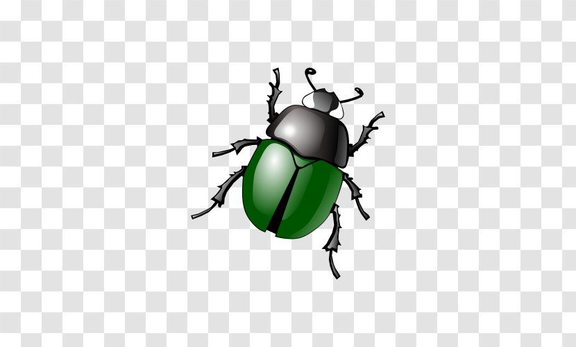 Beetle Free Content Software Bug Clip Art - Weevil - Painted Image Transparent PNG