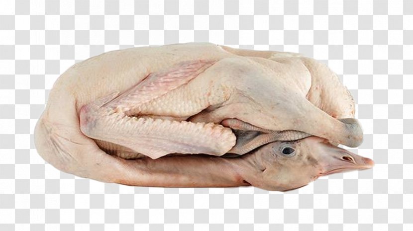 Domestic Goose Roast Yongda Meat Food - Common Quail - Free Buckle Material Picture Transparent PNG