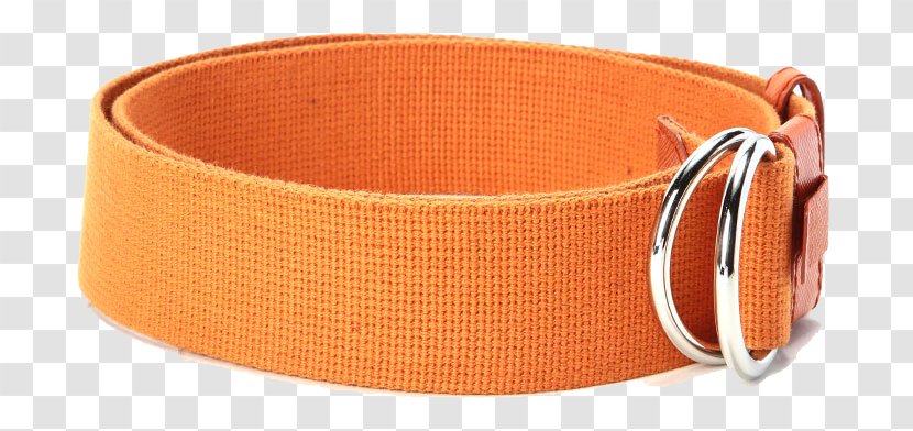 Belt Canvas - Fashion Accessory - Orange Transparent PNG