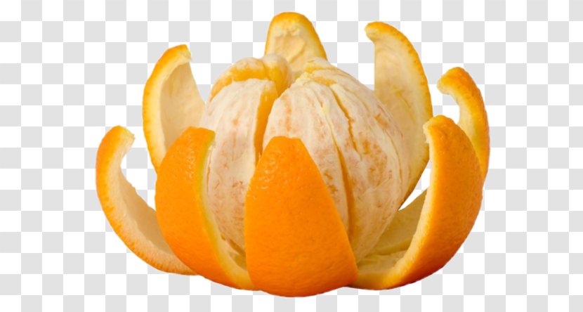 Orange Juice Bitter Apple Mandarin Transparent PNG