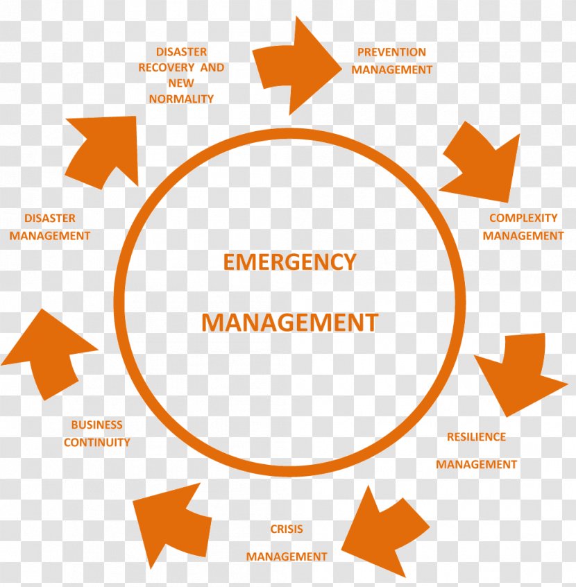 Research Business Process Management Methodology - Organization Transparent PNG