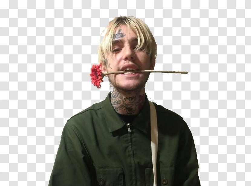 Lil Peep Highly Suspect Long Island Ghostgirl Past The Castle Walls - Tree - Flower Transparent PNG