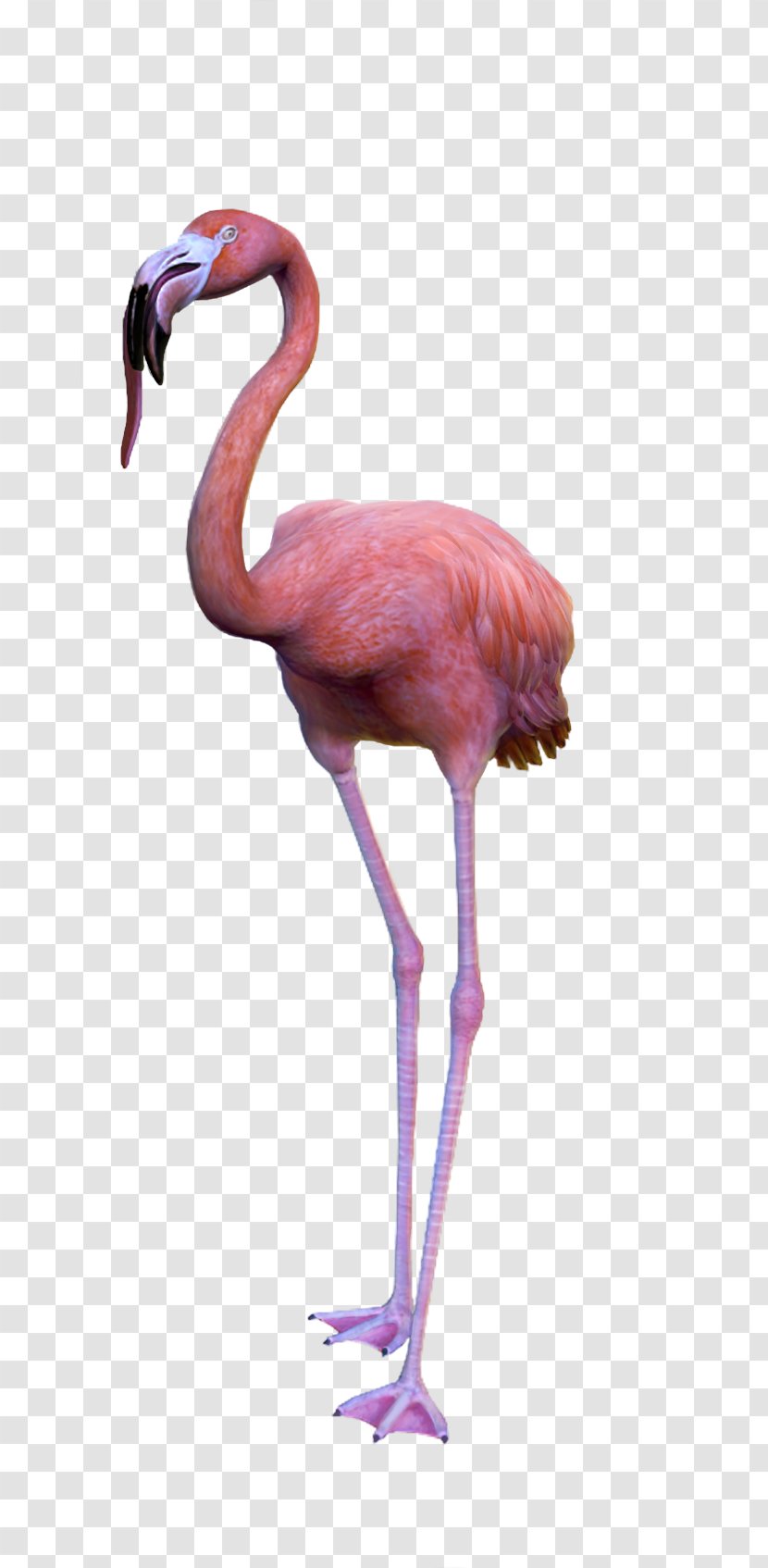Goat Simulator Payday Coffee Stain Studios Bird - Neck - Sims Transparent PNG