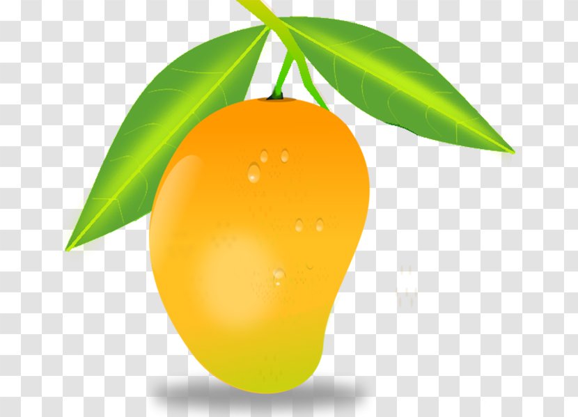 Mango Clip Art - Orange Transparent PNG