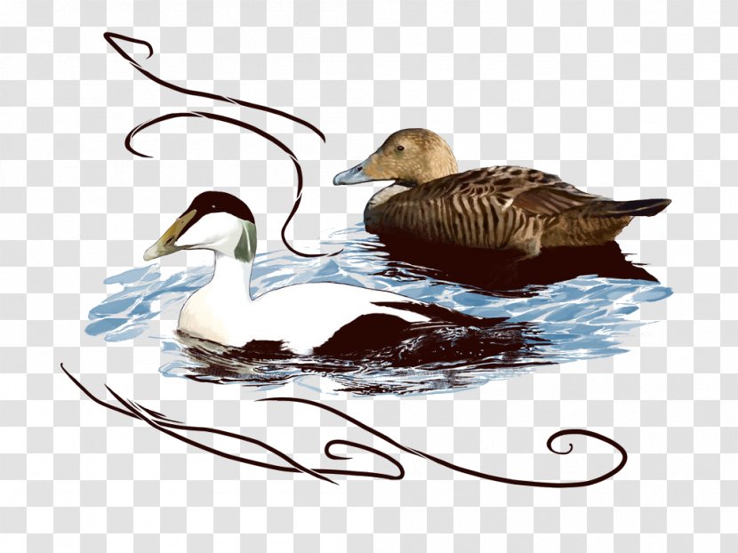 Duck Goose Icon Transparent PNG