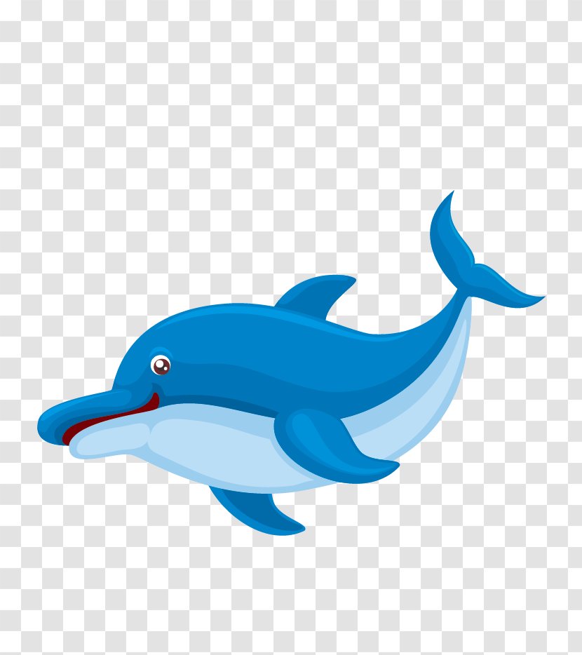 Cartoon Fish Clip Art - Whales Dolphins And Porpoises - Marine Life Images Transparent PNG
