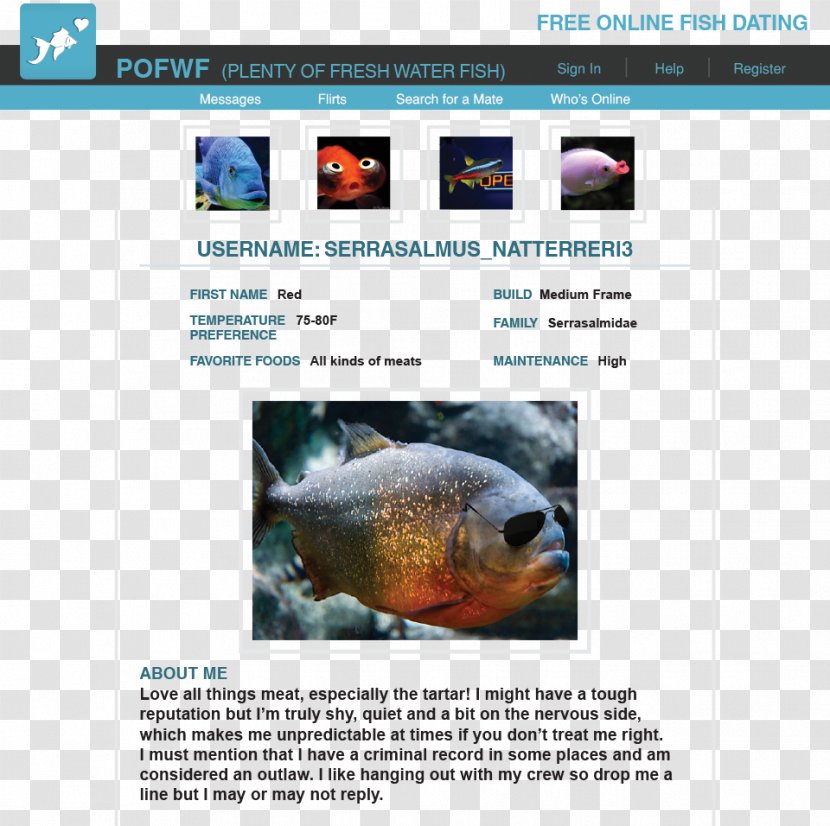 Ecosystem Web Page Fauna Marine Biology Red-bellied Piranha - Redbellied - Fish Dish Transparent PNG