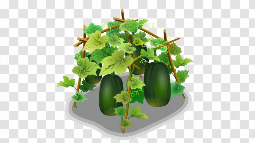 Wax Gourd Watermelon - Flowerpot - Melon Transparent PNG