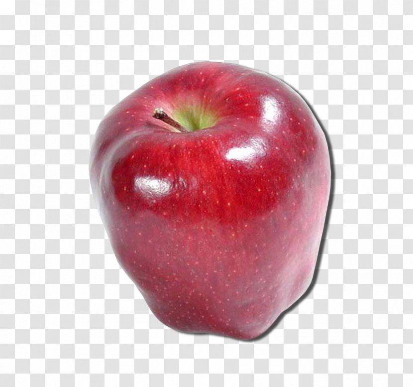 Apple Malus Sylvestris Fruit Seed AgroWorld 2018 Transparent PNG