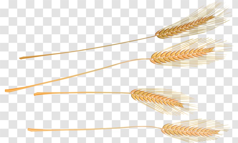 Commodity Grasses - Golden Wheat Transparent PNG