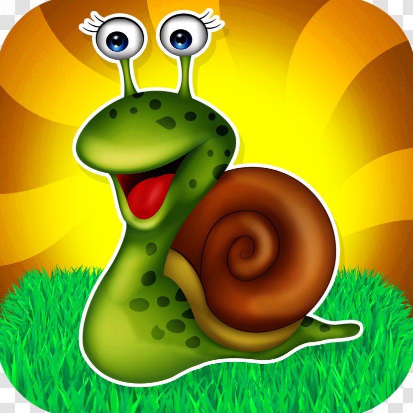 Drawing Photography - Reptile - Snail Transparent PNG