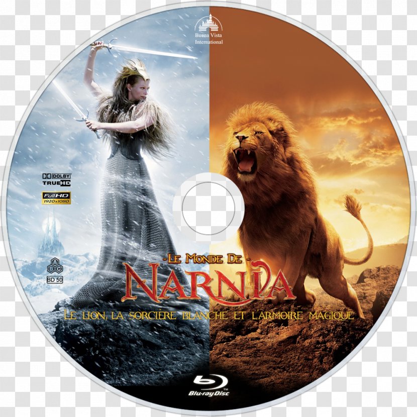 The Chronicles Of Narnia: Lion, Witch And Wardrobe Jadis White Aslan - Villain - Lion Transparent PNG