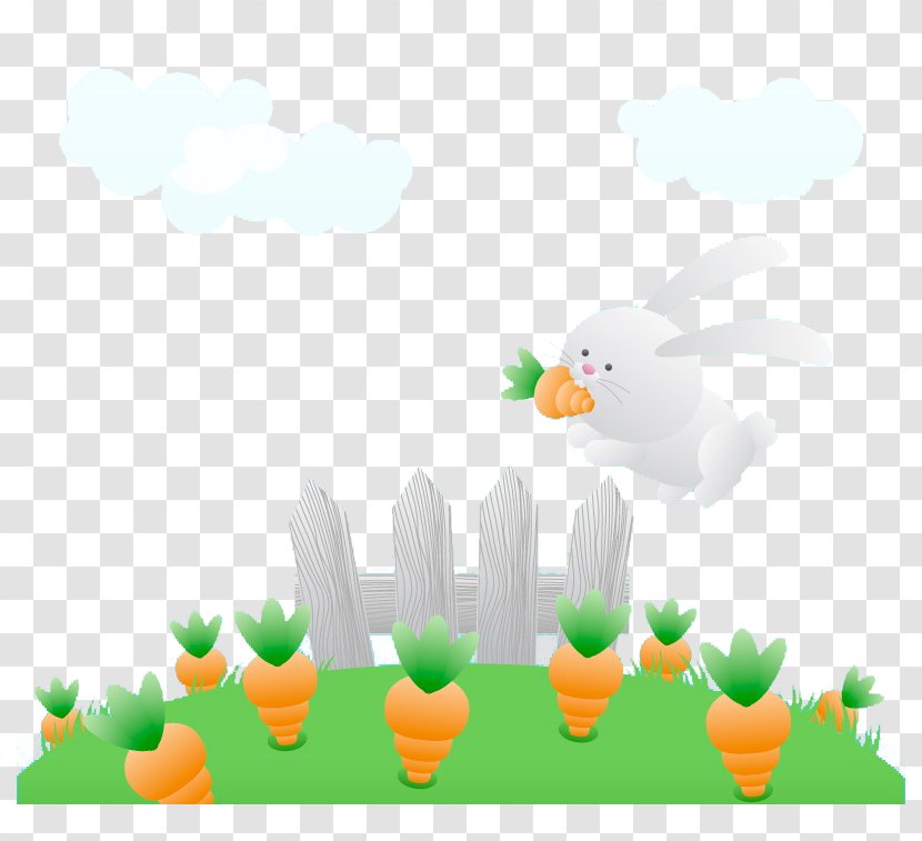 Rabbit - Carrot - White Transparent PNG