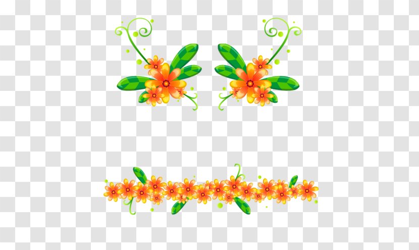 Orange Flower - Dividing Line Transparent PNG