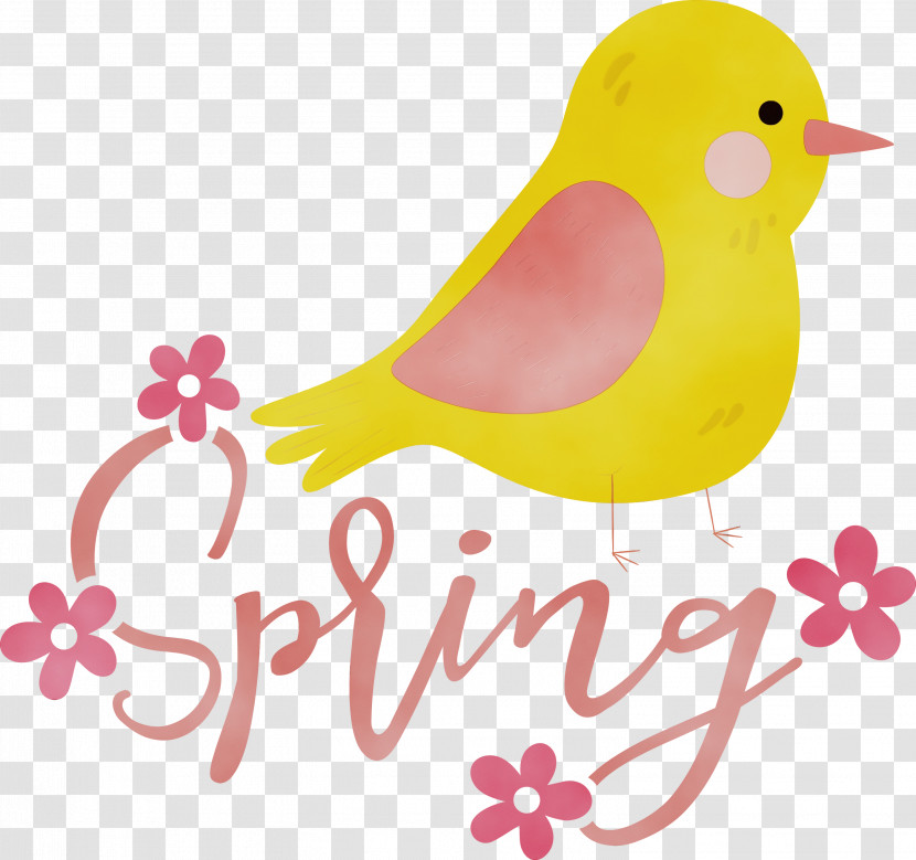 Text Birds Beak Yellow Transparent PNG