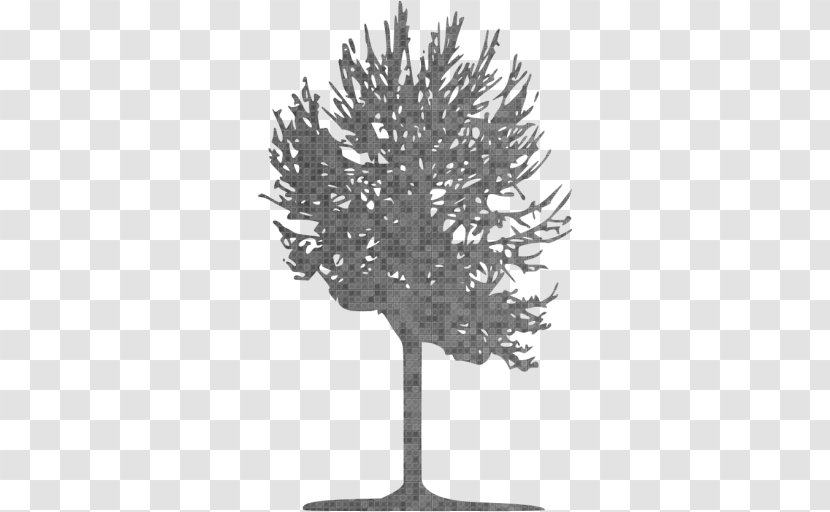 Twig Clip Art Olive - Black Tree Of Life Tattoo Transparent PNG