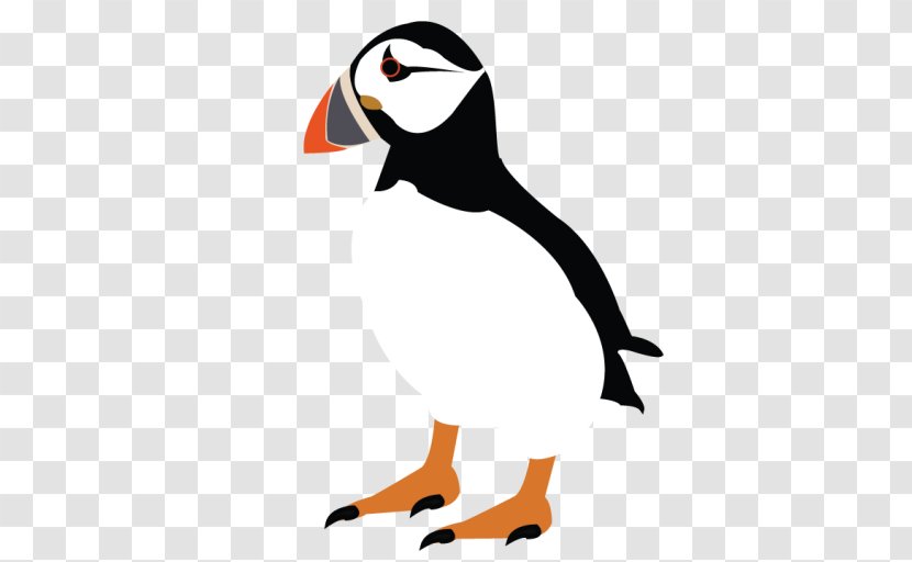 Small Business Puffin Media Video Wallsend Day Nursery - Corporation - Bird Wearing A Hat Transparent PNG