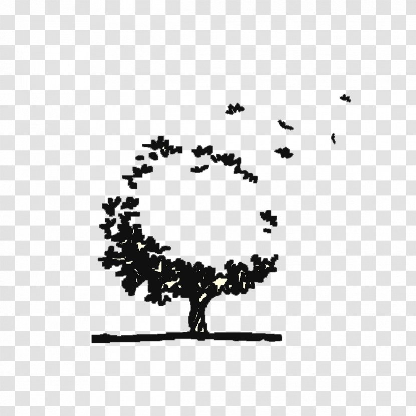 Download - Black And White - Tree Transparent PNG