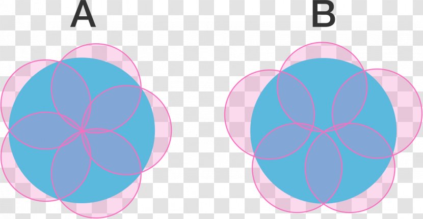 Pink M Pattern - Petal - Geometric Cover Transparent PNG