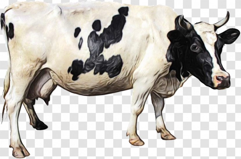 Watercolor Animal - Wet Ink - Pasture Bull Transparent PNG