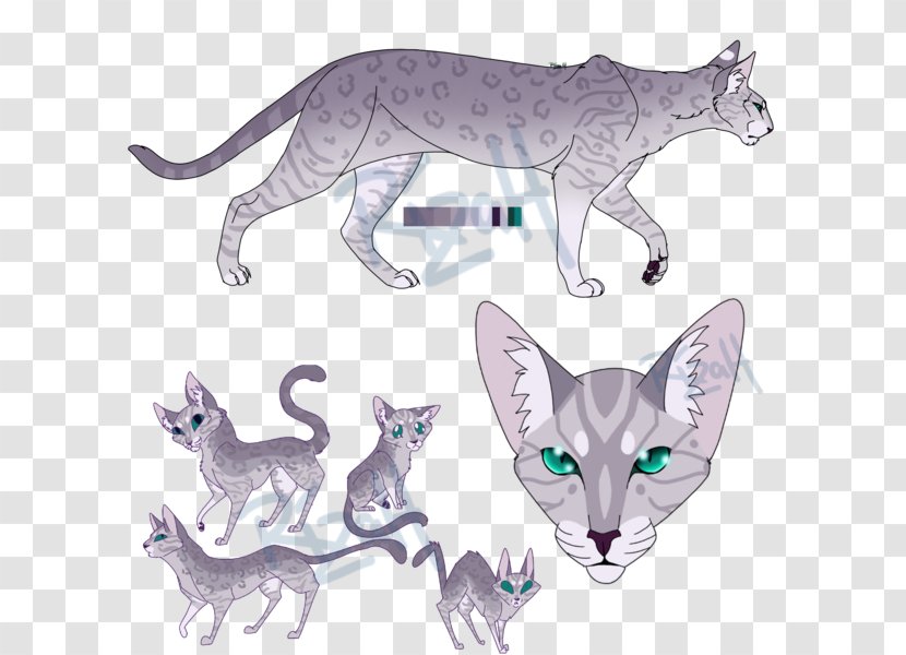 Whiskers Kitten Wildcat Domestic Short-haired Cat - Drawing Transparent PNG