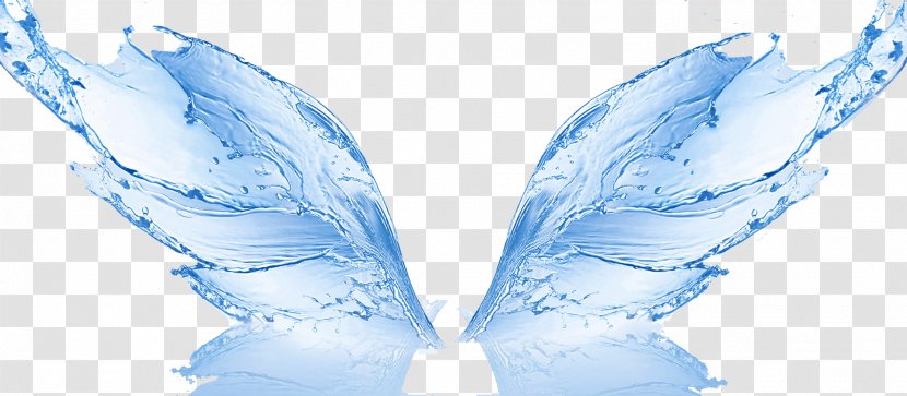 Water Filter Reverse Osmosis Membrane Treatment - Fictional Character - Free Butterfly Effect Pull Image Transparent PNG