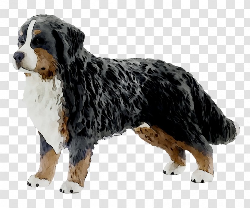 Bernese Mountain Dog Breed Greater Swiss Barbie Sisters Wave Ride Jet Ski - Mammal - Canidae Transparent PNG