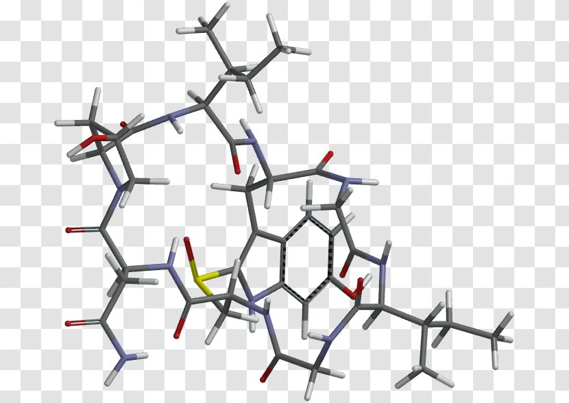 Amanullin Amatoxin Phallotoxin Amanita Peptide - Area - Technology Transparent PNG