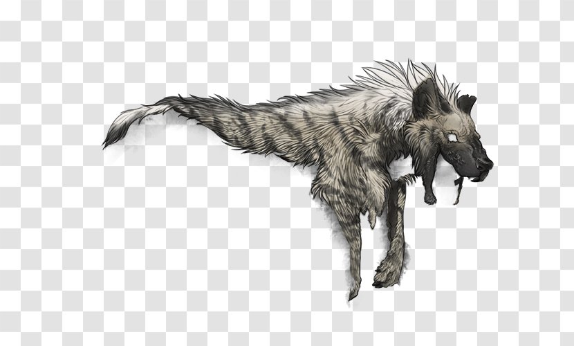 Dog Canidae Wildlife Fauna Carnivora - Like Mammal - Hyena Transparent PNG