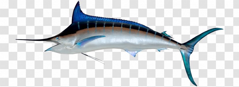 Swordfish Marlin Fishing - Rayfinned Fish - Barracuda Aquatic Transparent PNG
