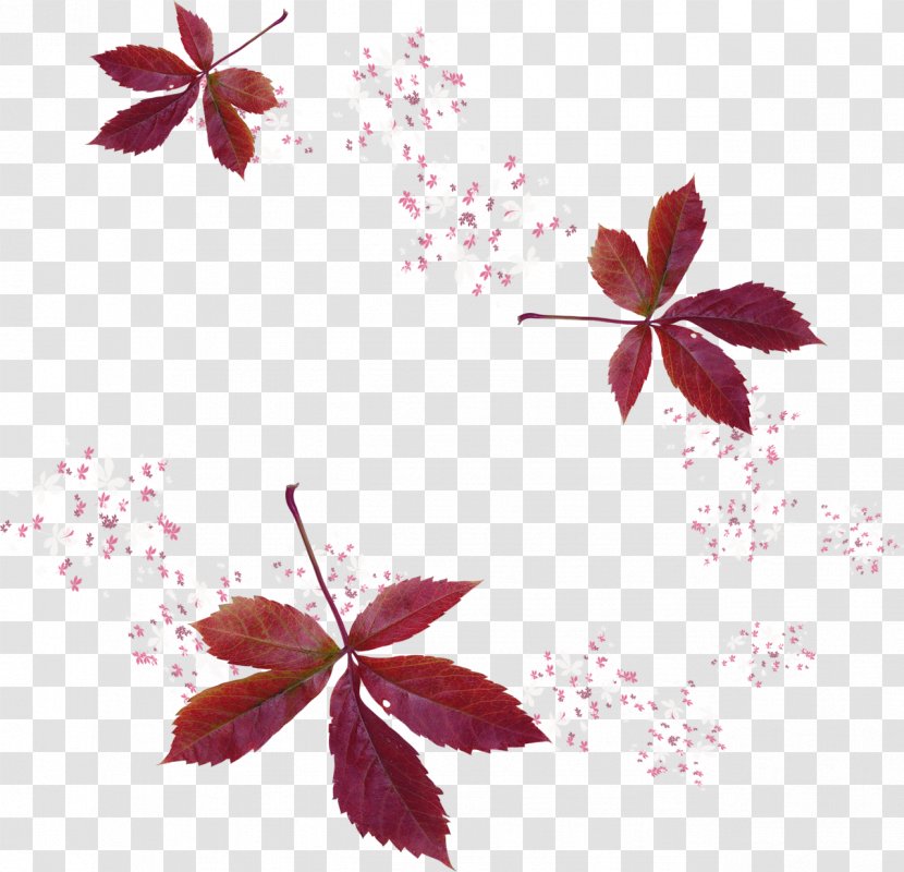 Leaf Painter Autumn - Leaves Transparent PNG