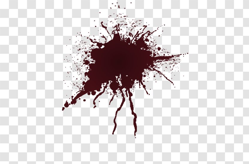 Clip Art Bloodstain Pattern Analysis Transparency - Blood Transparent PNG