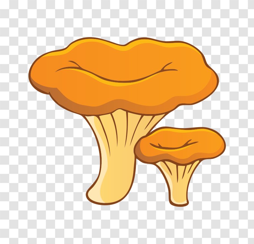 Chanterelle Fungus Edible Mushroom Morchella - Food - Mushroom,fungus Transparent PNG