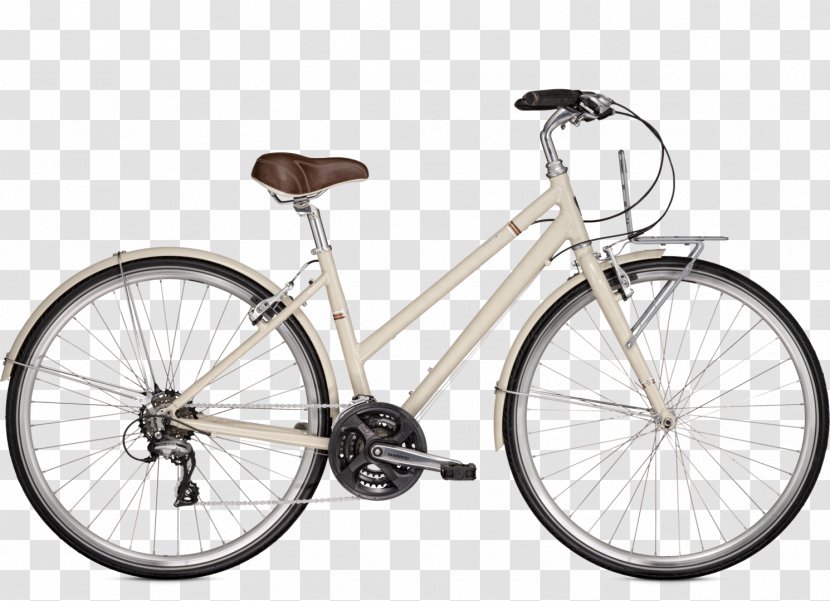 Raleigh Bicycle Company Step-through Frame Cycling Hybrid - Stepthrough - People Bike Transparent PNG