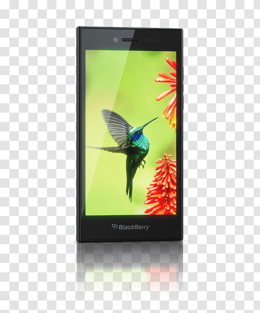 BlackBerry Leap Smartphone Internet Comparison Shopping Website - Screen - Blackberry Transparent PNG