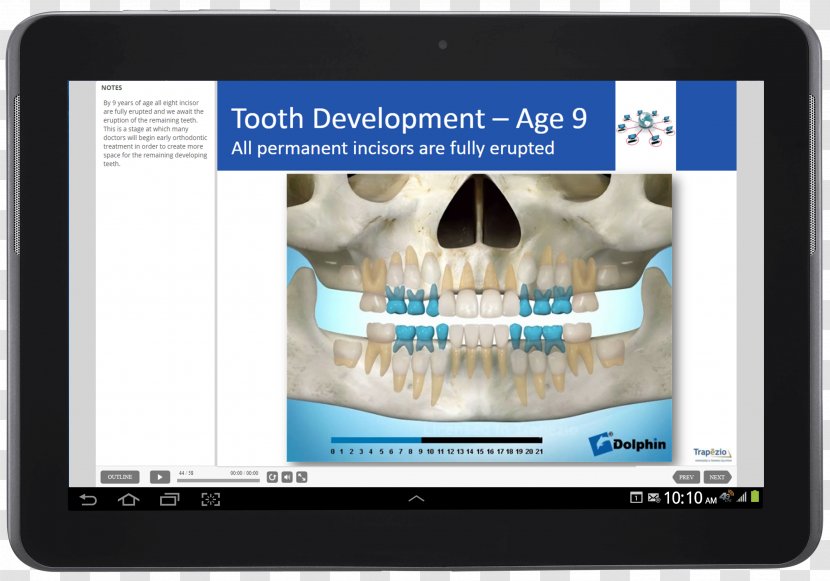 Orthodontics Trapezio - Dentistry - Academy Of Orthodontic Assisting Jaw American Association OrthodontistsOthers Transparent PNG