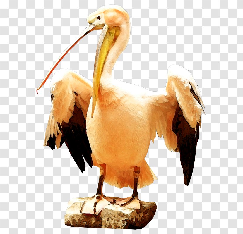 Crane Yellow Clip Art - Pelican Transparent PNG