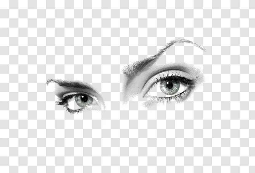 Urdu Poetry Drawing Song Eye - Silhouette - Hand-painted Eyes Transparent PNG