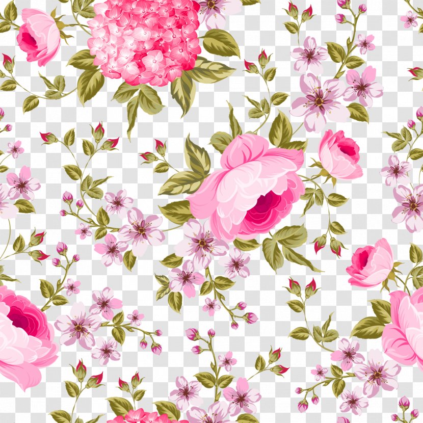 Peony Stock Illustration - Rose Family - Vector Pink Flowers Transparent PNG